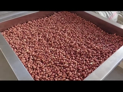 PLC制御 連続ナッツ オーブン 連続ナッツ ロースター ドライヤー/ロースター