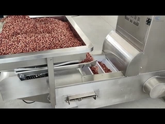 Z型エレベーターコンベヤー