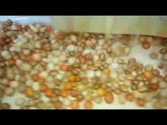 コーティングと焙煎の生産ライン