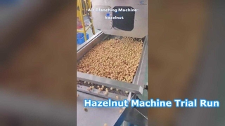ヘーゼルナッツマシンの試運転動画はこちら！食品加工工場に最適です。 ＃機械