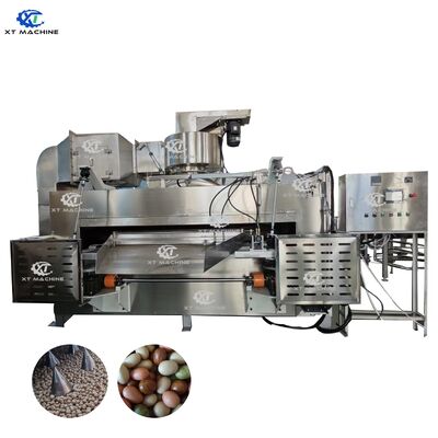 Coated Peanut Roaster with 50kg/h Capacity for Coated Nuts/Cashew Nut/Horse Beans/Almonds/Hazelnut Pistachios