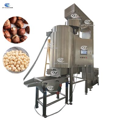 良い価格 500~600kg/h 高出力ピーナッツ/ピスタチオ/ハゼルナッツのブランチングマシン PLC制御とSUS304素材 オンライン